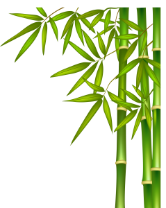 Bamboo PNG-63761